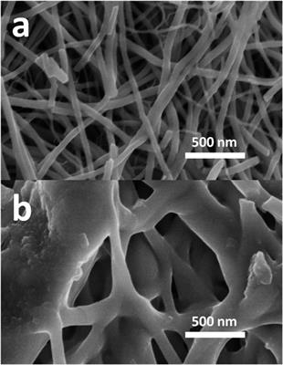 High Performance Dye-Sensitized Solar Cells Based on Electrospun MoS2-Carbon Nanofiber Composite Counter Electrode